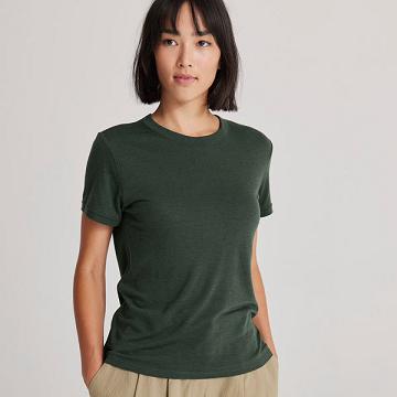 Allbirds Sea T-shirts Dames Groen | NL4738UT