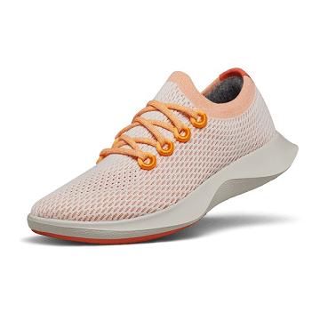 Allbirds Tree Dasher 1 Hardloopschoenen Heren Oranje | NL4159FM