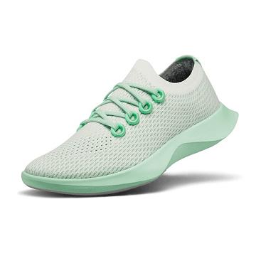 Allbirds Tree Dasher 1 Hardloopschoenen Heren Wit Groen | NL4162AP