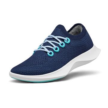 Allbirds Tree Dasher 1 Hardloopschoenen Heren Blauw Wit | NL4165IS