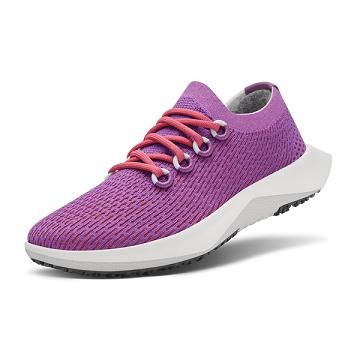 Allbirds Tree Dasher 2 Hardloopschoenen Heren Paars | NL4189AP