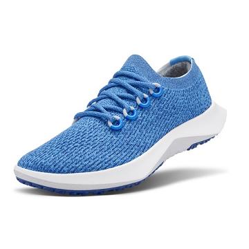 Allbirds Tree Dasher 2 Hardloopschoenen Heren Blauw | NL4192IS