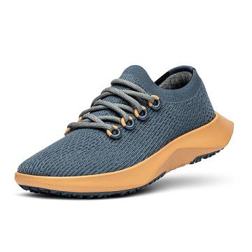 Allbirds Tree Dasher 2 Hardloopschoenen Heren Blauw Geel | NL4198WY