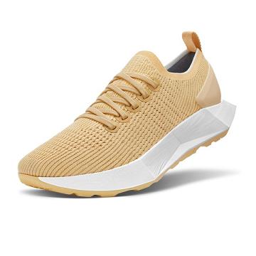 Allbirds Tree Flyers Hardloopschoenen Heren Beige | NL4181KI