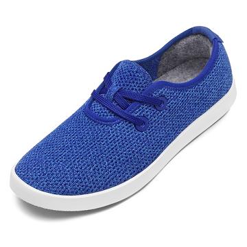 Allbirds Tree Skippers Sneakers Heren Blauw | NL4014EX