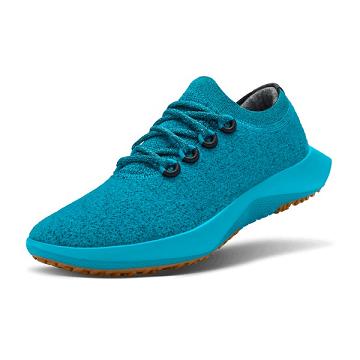 Allbirds Wol Dasher Mizzles Hardloopschoenen Heren Blauw | NL4140IS